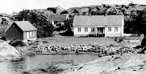 Arisholmen