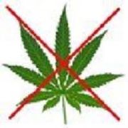 Medisinsk cannabis