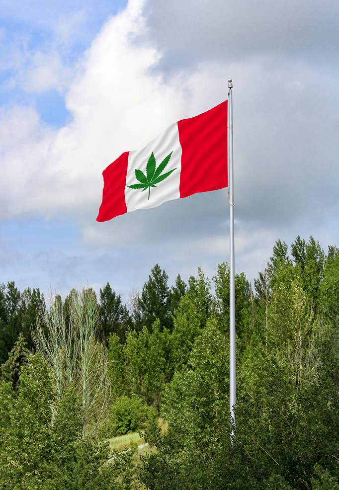 Skarp kritikk av canadisk narkolegalisering