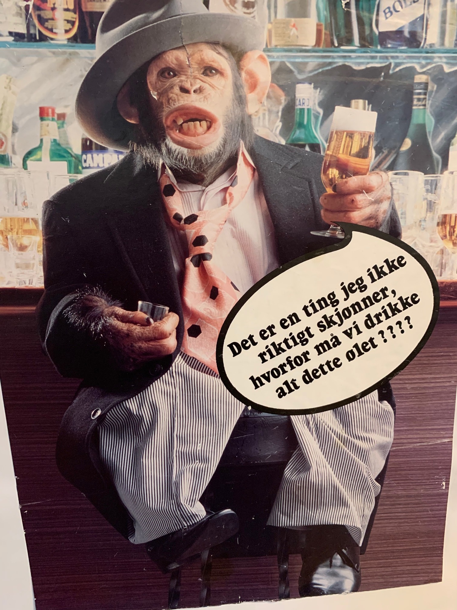 ape med øl