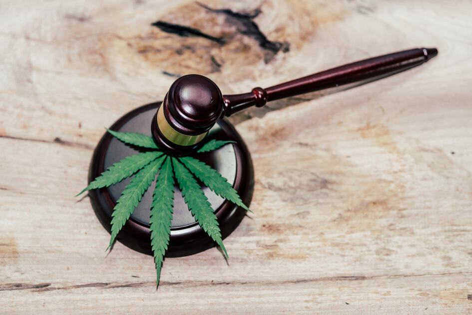 Legaliseringsbevegelsen og deres tilhengere
